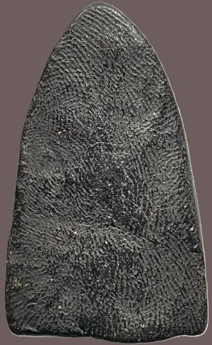 รูปพระเครื่อง