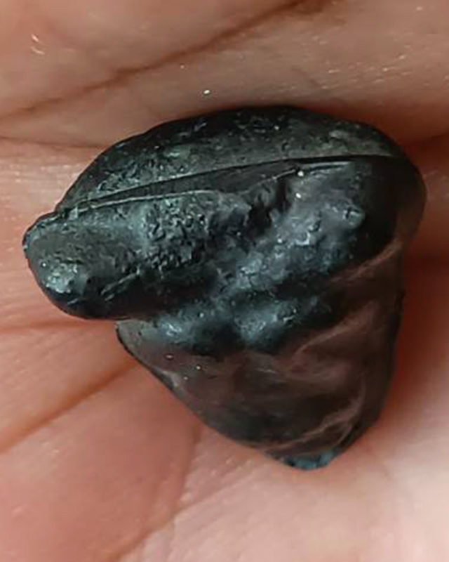 รูปพระเครื่อง