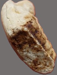 รูปพระเครื่อง